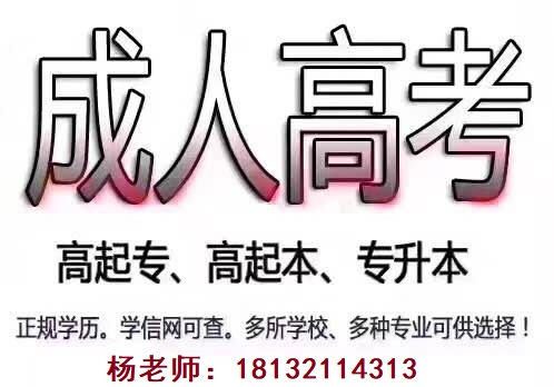 河北成人高考加分政策是什么？