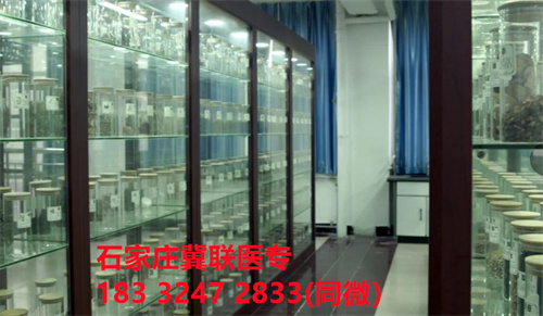 中專中藥專業(yè)能考哪些證書？