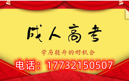 干貨！備考必讀，成考不踩雷！