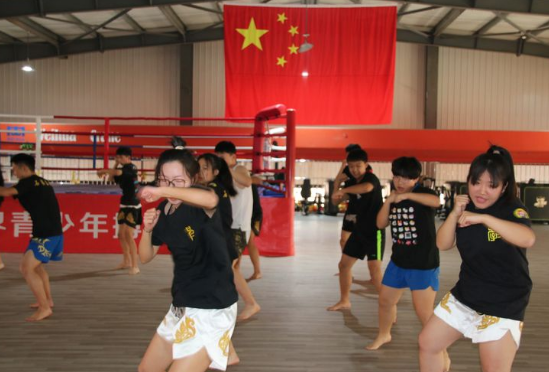 石家莊開設體育專業(yè)、武術專業(yè)的學校